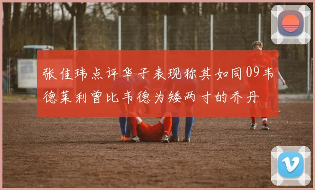 张佳玮点评华子表现称其如同09韦德莱利曾比韦德为矮两寸的乔丹