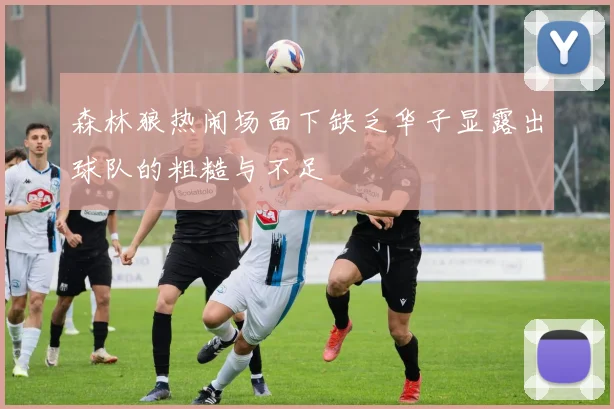 森林狼热闹场面下缺乏华子显露出球队的粗糙与不足