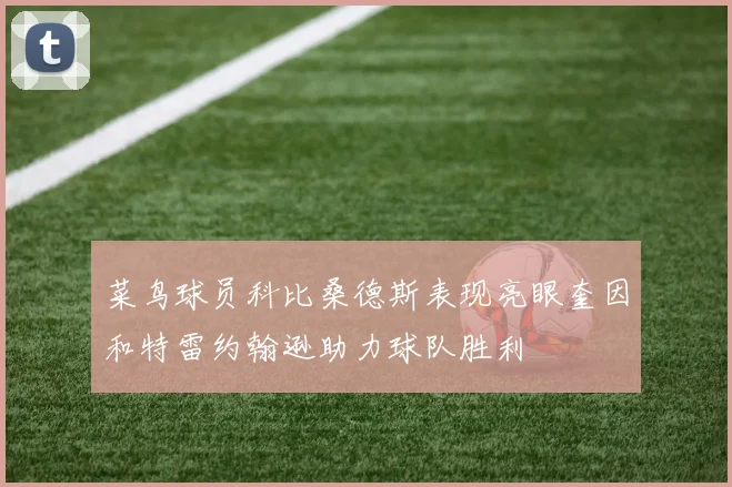 菜鸟球员科比桑德斯表现亮眼奎因和特雷约翰逊助力球队胜利
